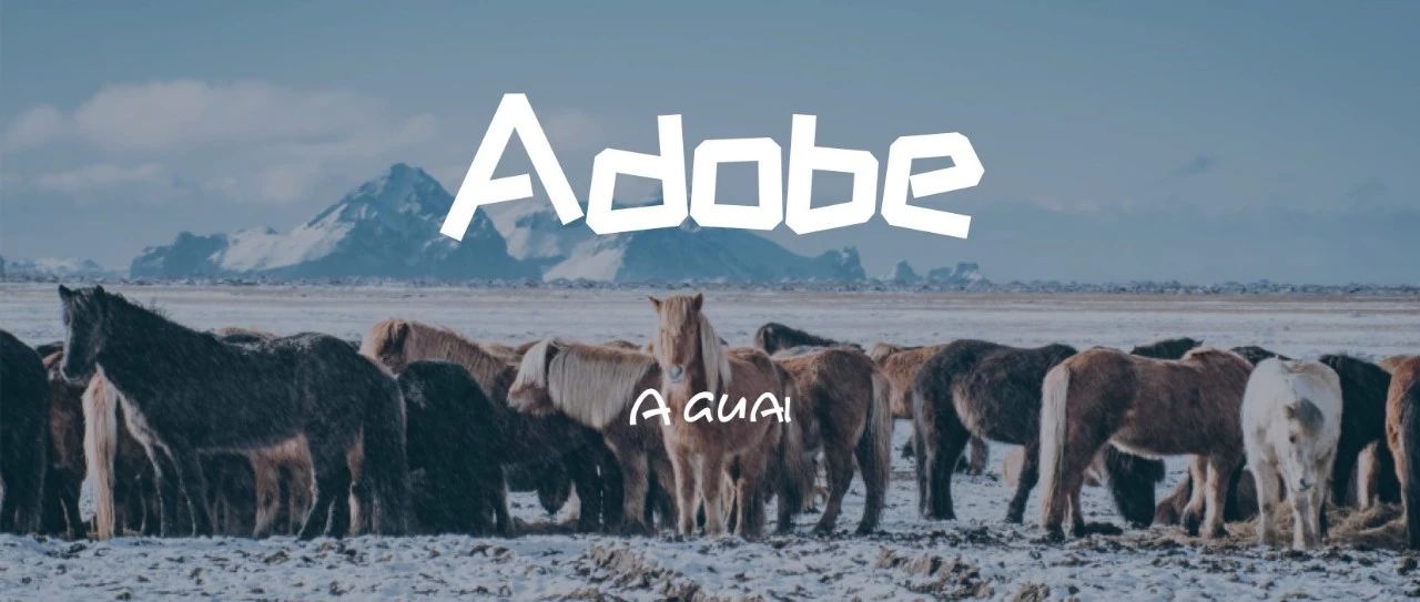 009-Adobe CC 2019震撼来袭，破解版免费领取（附全套安装包）